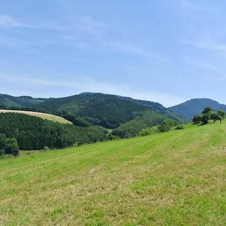 Schack